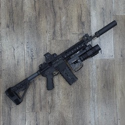 RIFLES