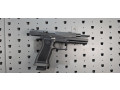 sig-sauer-p320-comp-max-michel-edition-9mm-small-16