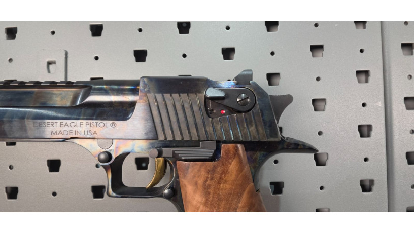 rare-magnum-research-desert-eagle-mk-xix-50-ae-case-hardened-big-4