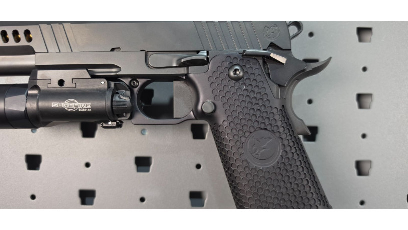 rare-nighthawk-custom-president-2011-9mm-rmr-x300-big-5