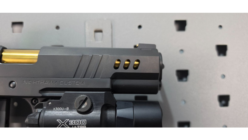 rare-nighthawk-custom-president-2011-9mm-rmr-x300-big-15