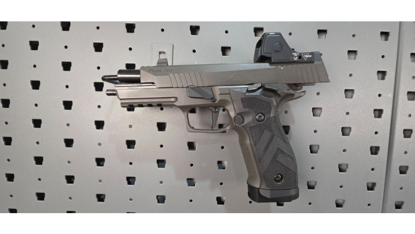 sig-sauer-p226-x5-legion-9mm-trijicon-rmr-hd-big-17